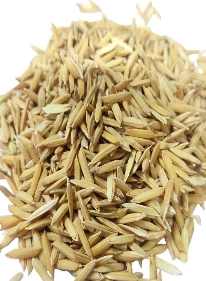MASHKI Raw Basmati Rice Paddy: Nutrient-Rich All Life Stages Bird Food with Nellu Large Size Vadlu Seeds - Ideal for Love Birds, Cockatiels, Java Sparrows, Sun Conure (500 Grams) - Image 5
